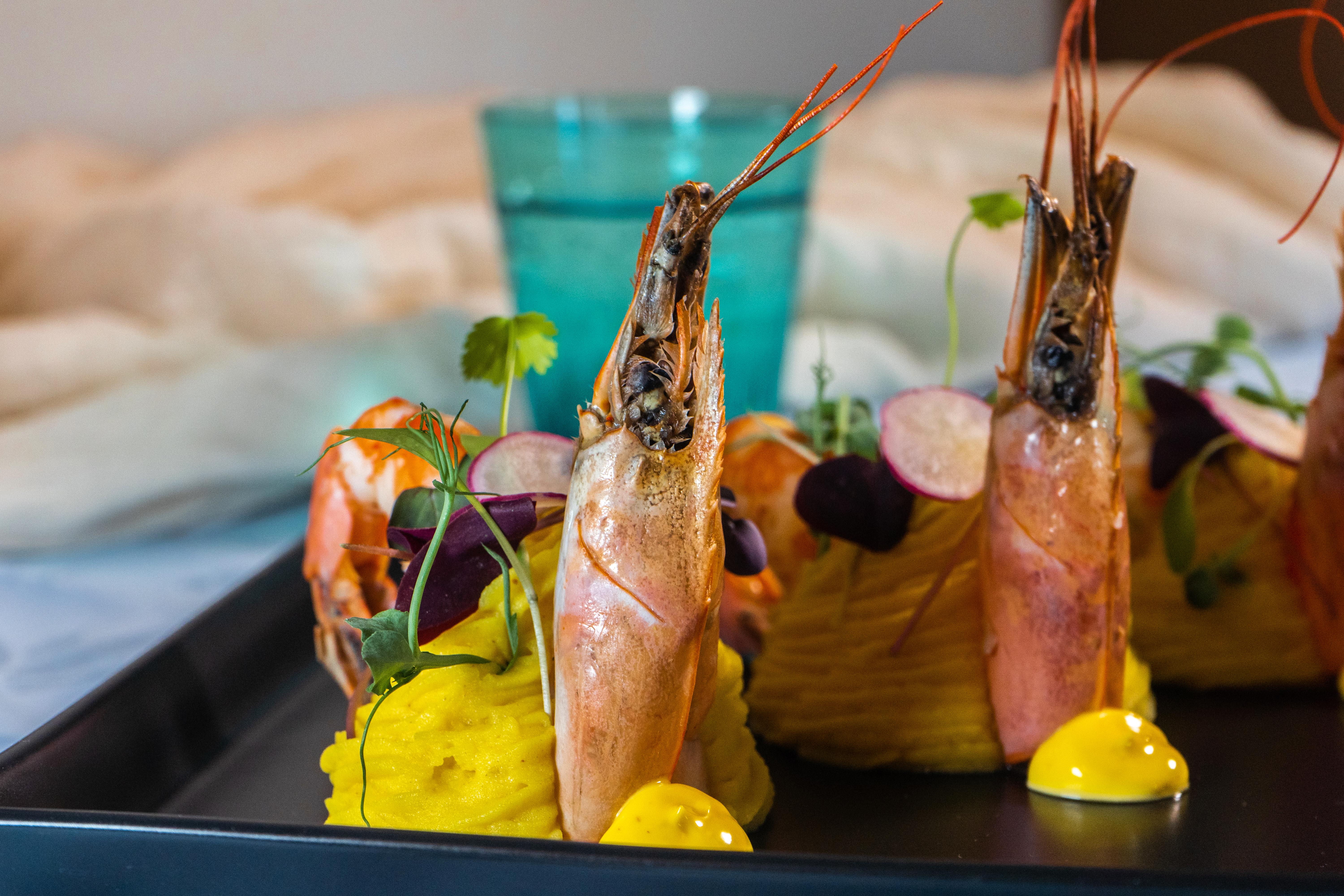 Restia Suites Exclusive Resort (Adults Only) Acharavi  Exteriér fotografie